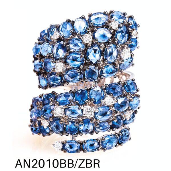 catalogoanellian2010bb_zbr.jpg