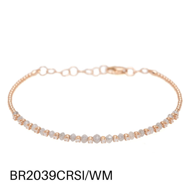 catalogobraccialibr2039crsi_wm.jpg